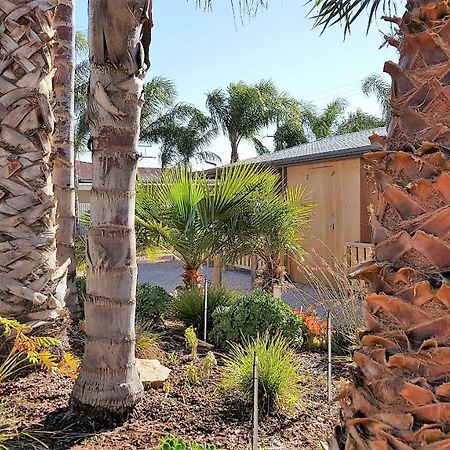 The Courtyard - Garden View Studio Port Pirie Eksteriør billede